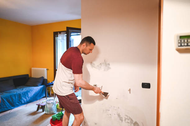 Best Health and Safety Mold Remediation in Bridgeview, IL